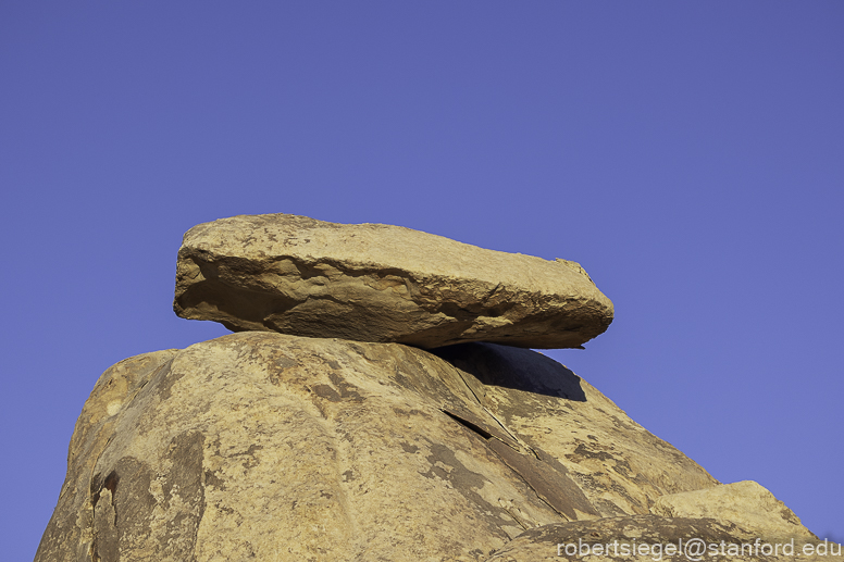 Desert Biogeography of Joshua Tree National Park